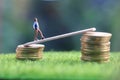 Miniature figure young bussinesman keep trying to get higher income walking at stack of coin at fresh green grass in the morning Royalty Free Stock Photo