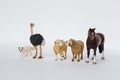miniature figures of animal toys. Plastic toys on white background Royalty Free Stock Photo