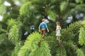 Miniature figures talking on the tree Royalty Free Stock Photo