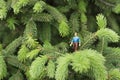 Miniature figures talking on the tree Royalty Free Stock Photo