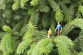 Miniature figures talking on the tree Royalty Free Stock Photo