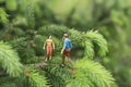 Miniature figures on the tree Royalty Free Stock Photo