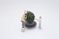 Miniature Figures Working as a Team to Trim a Potted Bonsai Tree Royalty Free Stock Photo