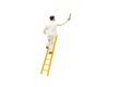 Painter standing on wooden ladder and painting wall with paint tools isolated on white background. Royalty Free Stock Photo