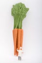 Miniature figurine of a chef with some carrots