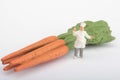 Miniature figurine of a chef with some carrots