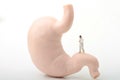 Miniature figurine of a gastroenterologist doctor with a giant stomach