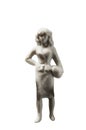 Miniature figurine woman isolatedon white background