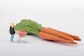 Miniature figurine of a woman with a supermarket cart shopping some carrots