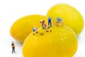 The miniature figurine of workers are digging the ripen mango Royalty Free Stock Photo