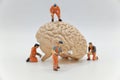 miniature figurines of men at work with a huge human brain Royalty Free Stock Photo