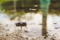 Miniature fishermen are fishing by boat Royalty Free Stock Photo