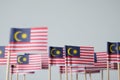 Miniature flag of malaysia