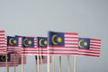 Miniature flag of malaysia