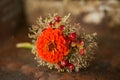 Miniature flower bouquet on wooden background
