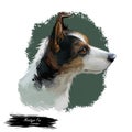 Miniature fox terrier hunting and working dog digital art illustration. Canine portrait, profile closeup of lightweight