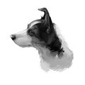 Miniature fox terrier hunting and working dog digital art illustration. Canine portrait, profile closeup of lightweight small and