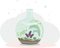 miniature garden in a bottle on a colored background vector