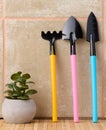 Miniature garden tools for transplanting plants, home hobby