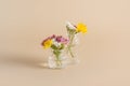 Miniature glass bottles with wildflowers on a biege background. Minimal concept summer, spring