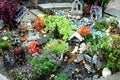 Miniature gnome village and gnomes