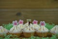 Miniature hello spring sign board in vanilla cupcakes topped with iced pink flowers