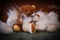 Miniature homemade teddy bear surrounded by stuffing