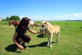 miniature horse and girl Royalty Free Stock Photo