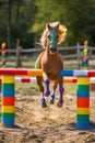 Miniature Horse Jumping Over Colorful Obstacle