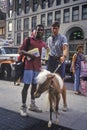 Miniature horse with owners on NYC street, NY