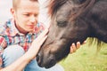 Miniature horses on the pasture Royalty Free Stock Photo