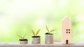 Miniature house and plants growing up on stack of coins Royalty Free Stock Photo