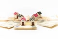 Miniature houses on euro and dollar bills Royalty Free Stock Photo
