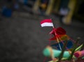 A miniature Indonesian flag in a toy ship, shallow focus