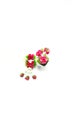 Miniature of Jasmine and Roses Garland and Flowers, Clay made on Royalty Free Stock Photo