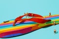 Miniature men on a rainbow flip-flop