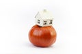 Miniature model house on a red tomato. Minimal organic food concept