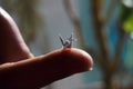 Miniature origami bird on the finger.