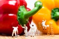 Miniature painters coloring bell pepper. Macro photo Royalty Free Stock Photo