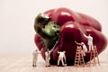 Miniature painters coloring bell pepper. Vintage toned photo