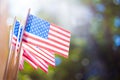 Miniature paper flags USA. American Flag on blurred background outdoors