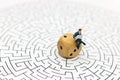 Miniature people: Businessman reading on center of maze. Concept Royalty Free Stock Photo