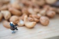Miniature people businessman selecting best quality cashew for export