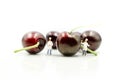 Miniature people : chef with cherrys,cherry month concept Royalty Free Stock Photo