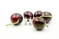 Miniature people : chef with cherrys,cherry month concept Royalty Free Stock Photo