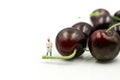 Miniature people : chef with cherrys,cherry month concept Royalty Free Stock Photo