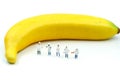 Miniature people : Chef during cooking and working with banana. Royalty Free Stock Photo