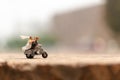 Miniature people : Couple riding the motorcycle in the garden