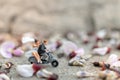 Miniature people : Couple riding the motorcycle in the garden