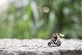 Miniature people : Couple riding the motorcycle